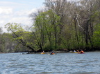 IMG 4572